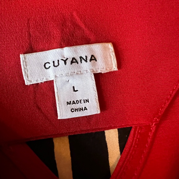 Cuyana Red Silk Slip Dress - Picture 4 of 4